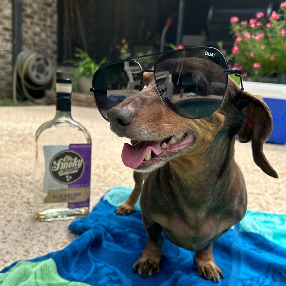 Kimberly is live! Come hang! Yeehaw Yeehaw! 🤠❤️ - Picture 11 of 16